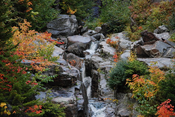 White Mountains National Forest 
