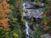 White Mountains National Forest 