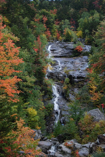 White Mountains National Forest 