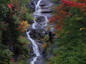 White Mountains National Forest 