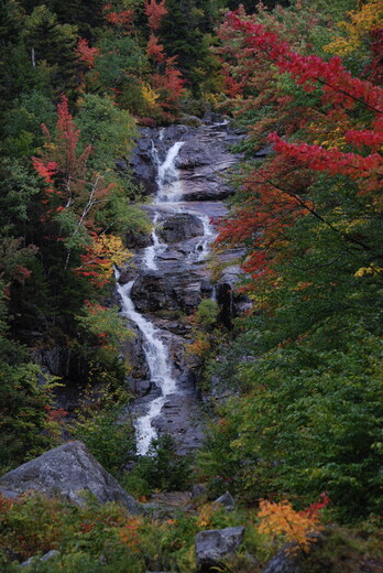 White Mountains National Forest 