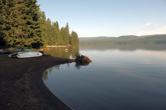 Mount Hood National Forest 