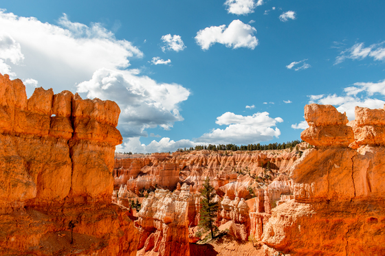 Bryce Canyon National Park