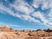 Petrified Forest National Park