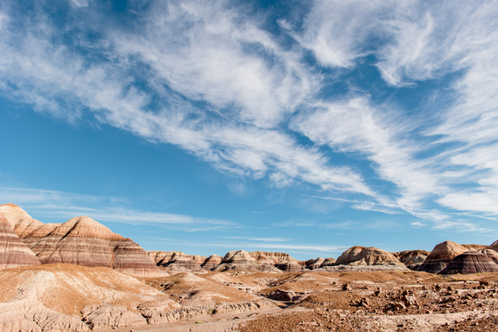 Petrified Forest National Park