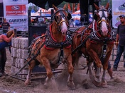 The "Big Ex" Fair
