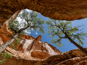 Muddy Creek Wilderness Area