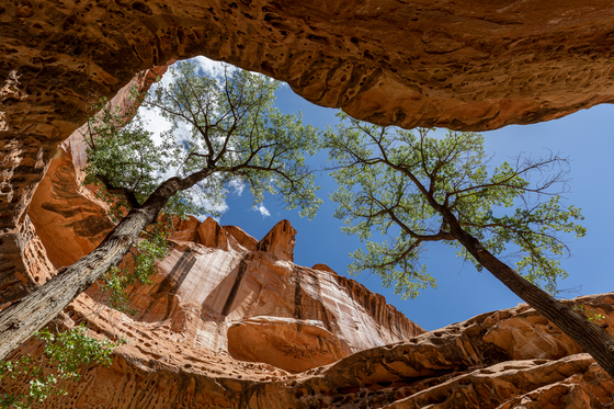 Muddy Creek Wilderness Area