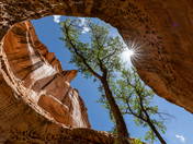 Muddy Creek Wilderness Area