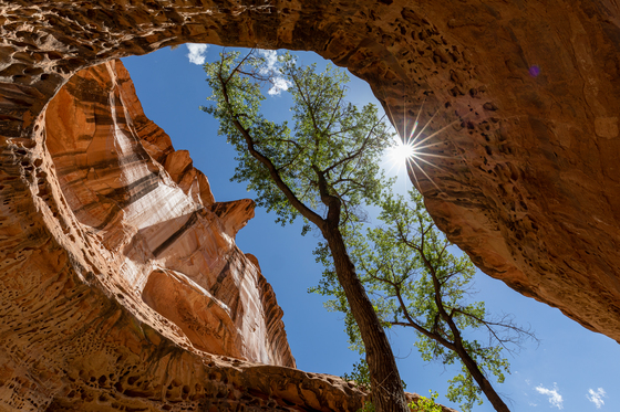 Muddy Creek Wilderness Area