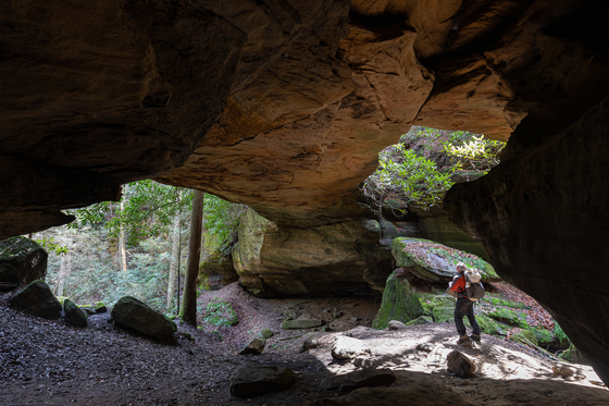 Red River Gorge Geological Area