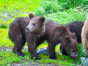 Katmai National Park and Preserve
