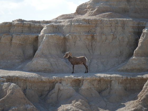 Badlands National Park