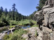 Black Hills National Forest