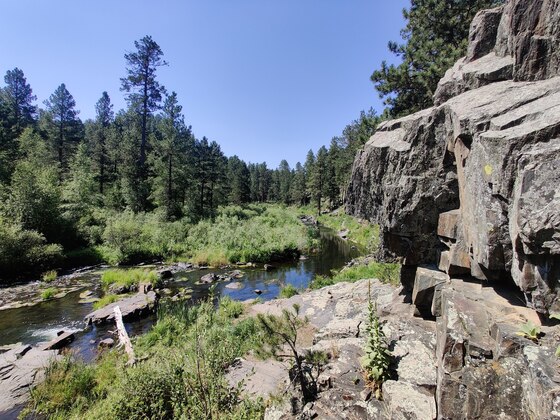 Black Hills National Forest