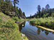Black Hills National Forest