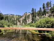 Black Hills National Forest