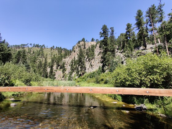 Black Hills National Forest