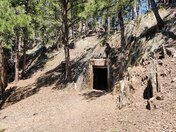 Black Hills National Forest