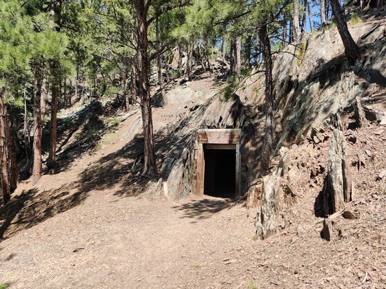 Black Hills National Forest