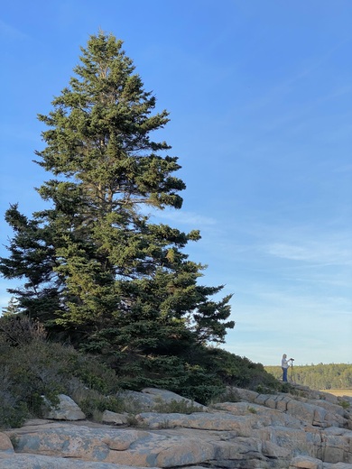 Acadia National Park
