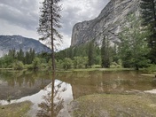 Yosemite National Park
