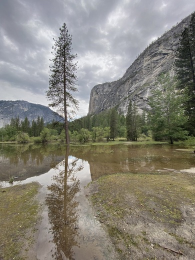 Yosemite National Park
