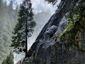 Yosemite National Park 