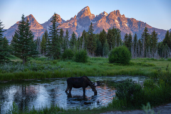 Grand Teton National Park