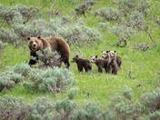 Grand Teton National Park