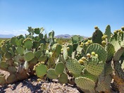 Big Bend National Park