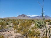 Big Bend National Park