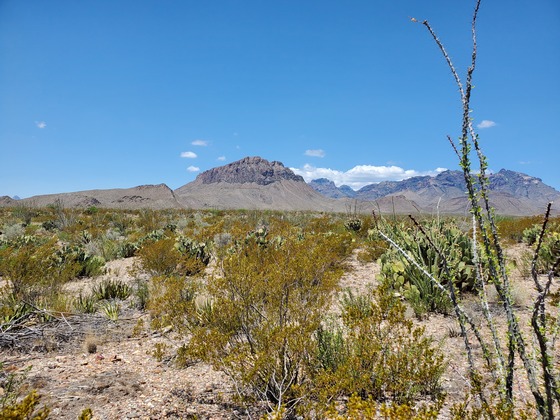 Big Bend National Park