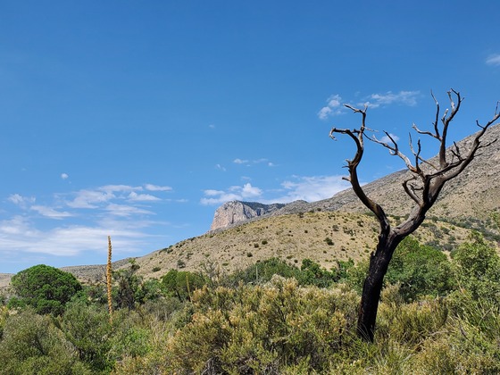 Guadalupe Mountains National Park