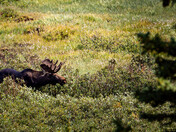 Brainard Lake Recreation Area