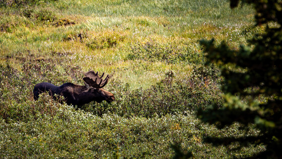Brainard Lake Recreation Area