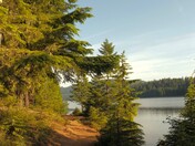 Mount Hood National Forest 