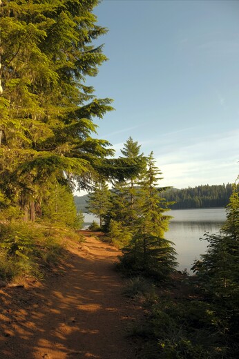 Mount Hood National Forest 