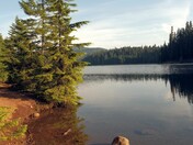 Mount Hood National Forest 