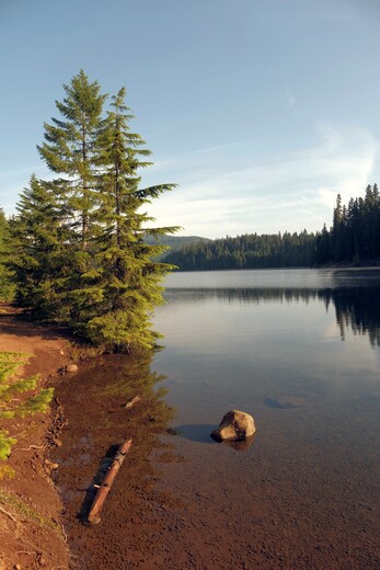 Mount Hood National Forest 