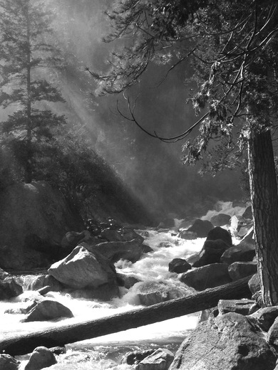 Yosemite National Park