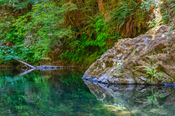Willamette National Forest