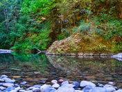 Willamette National Forest