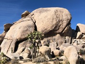 Joshua Tree National Park