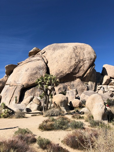 Joshua Tree National Park