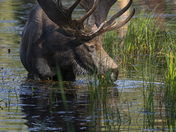 Rocky Mountain National Park
