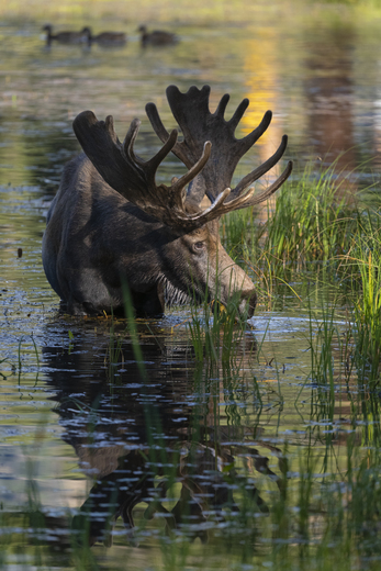 Rocky Mountain National Park