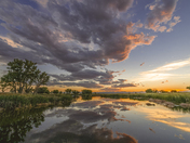 Rocky Mountain Arsenal National Wildlife Refuge