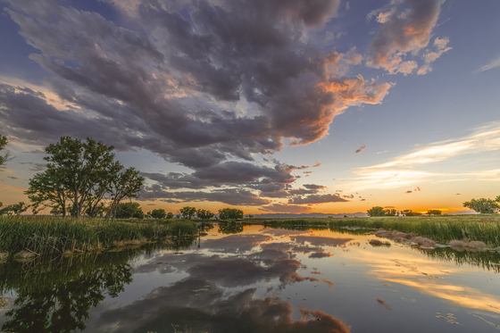 Rocky Mountain Arsenal National Wildlife Refuge