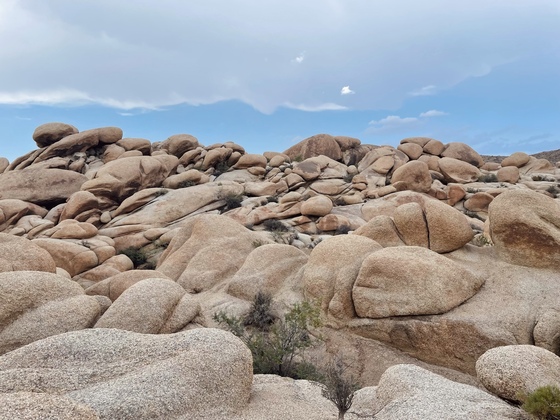 Joshua Tree National Park